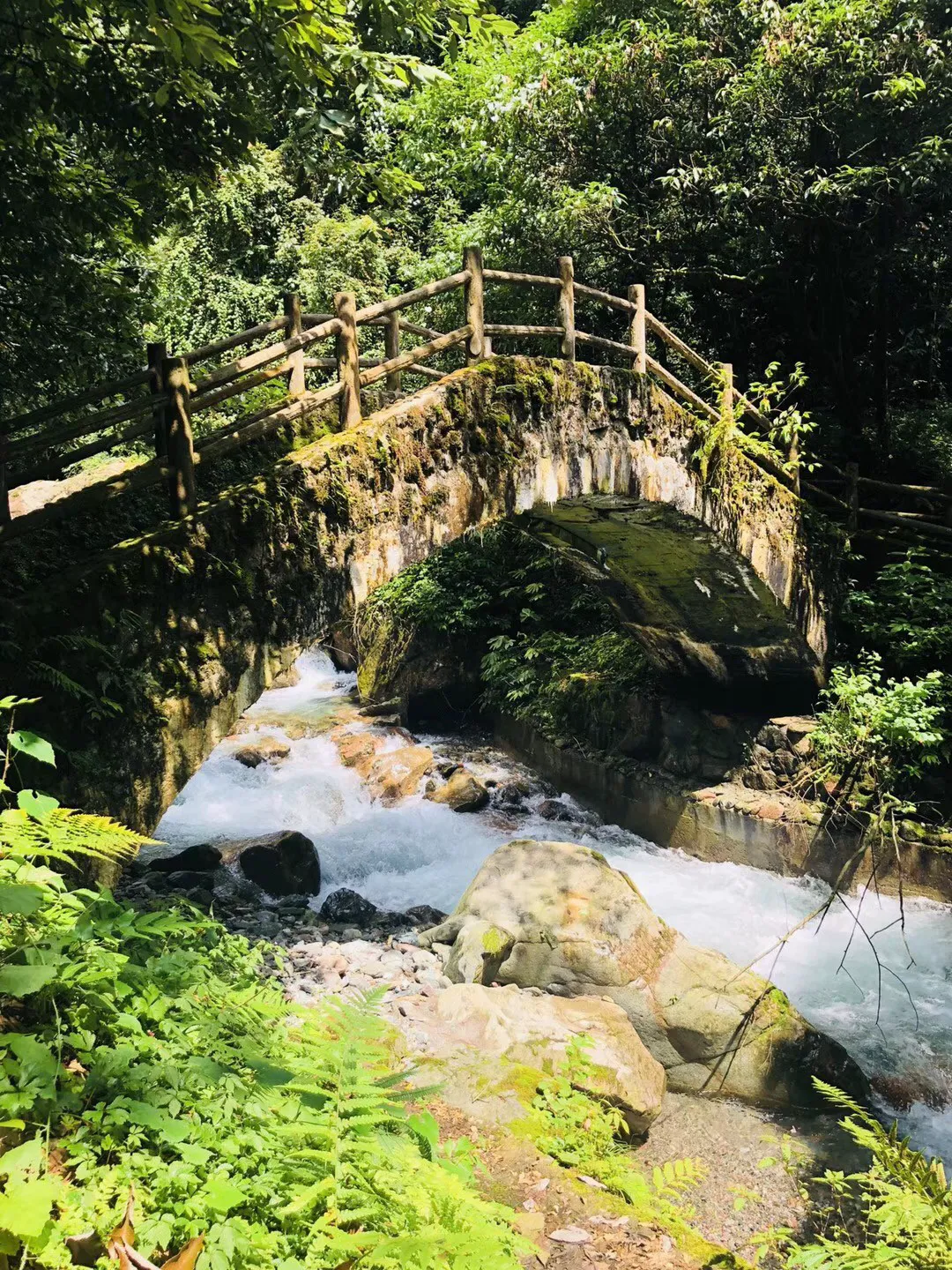 部分蔬菜春节可能继续“白菜价”