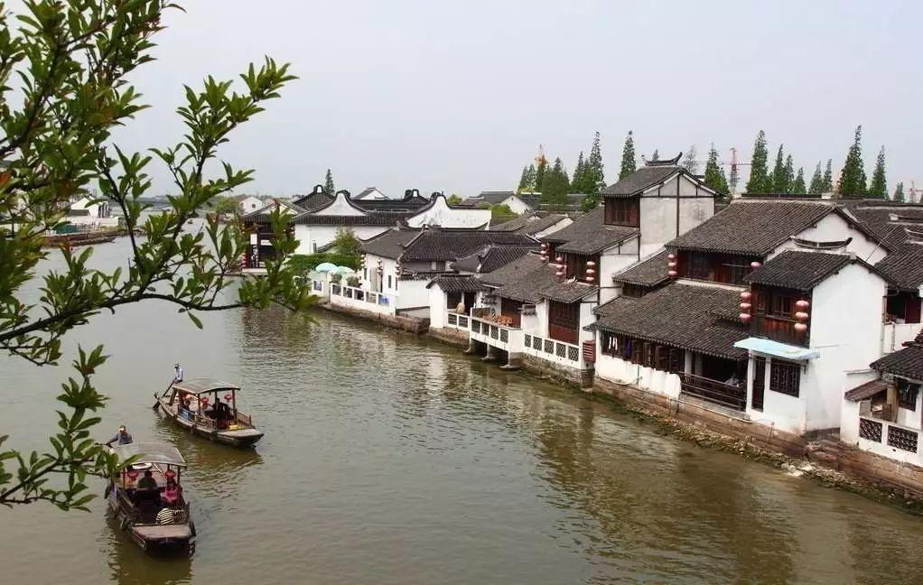 浙派集成烹饪中心:游刃滋味,臻享尚厨